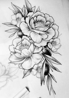 Drawings Of Big Flowers 215 Best Flower Sketch Images Images Flower Designs Drawing S