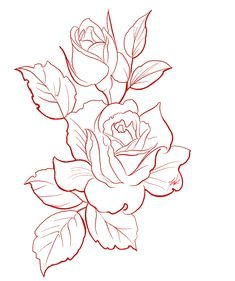 Drawings Of Big Roses Rose Outline Google Search Outlines Drawings Art Flowers