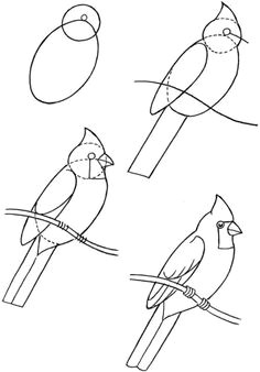 Drawings Of Birds Eyes 306 Best Drawing Birds Images Pencil Drawings Bird Drawings