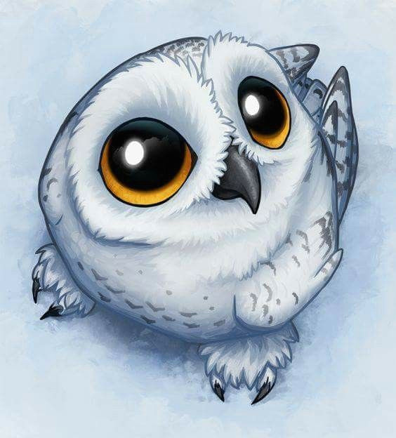 Drawings Of Birds Eyes Pin by Sheila norfus On Owl Art Pinterest Owl Owl Art and Snowy Owl