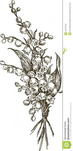 Drawings Of Birth Flowers 17 Best July Birth Flowers Images Beautiful Flowers Lotus Lotus