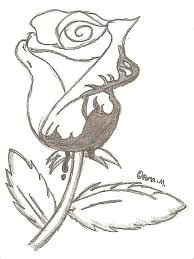 Drawings Of Bleeding Roses 12 Best Bleeding Roses Images Bleeding Rose Black Rose Flower