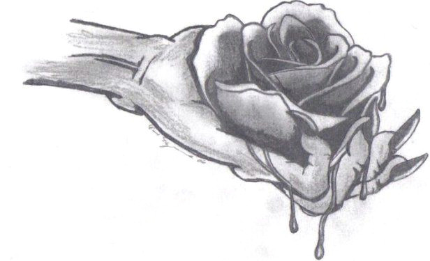 Drawings Of Bleeding Roses 12 Best Bleeding Roses Images Bleeding Rose Black Rose Flower