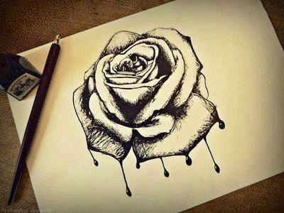 Drawings Of Bleeding Roses 12 Best Bleeding Roses Images Bleeding Rose Black Rose Flower