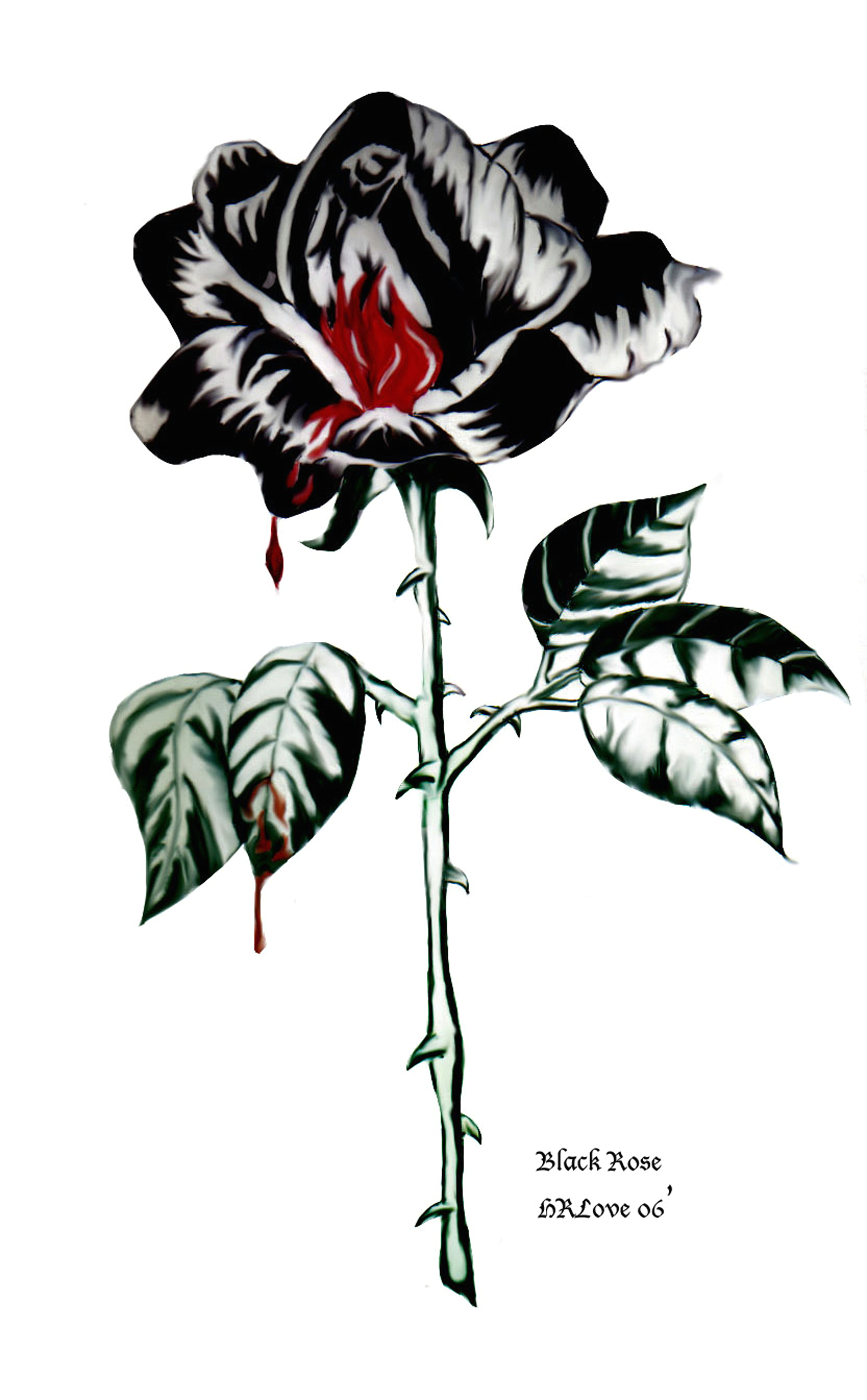 Drawings Of Bleeding Roses Dongetrabi Black Rose Drawing Bleeding Images