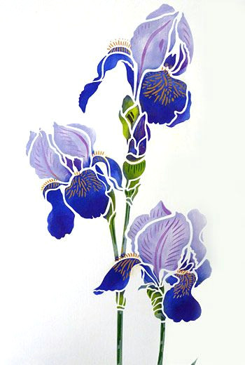 Drawings Of Blue Flowers Iris Stencils 1 and 2 Stencils Pinterest Drawings Stencils