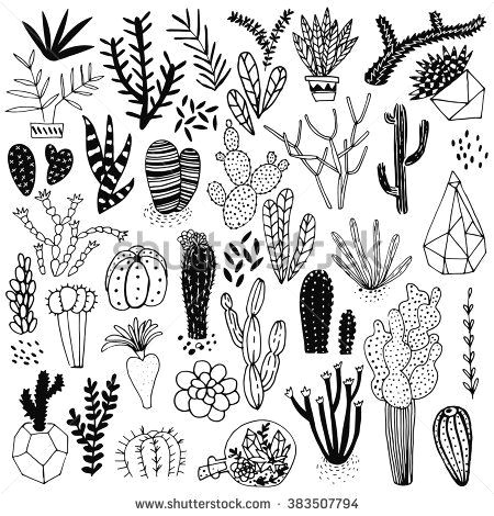 Drawings Of Cactus Flowers Black and White Hand Drawn Cactus and Succulents Vector Set with