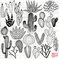 Drawings Of Cactus Flowers Line Drawing Of Cactus Bing Images Tattoos In 2019 Cactus