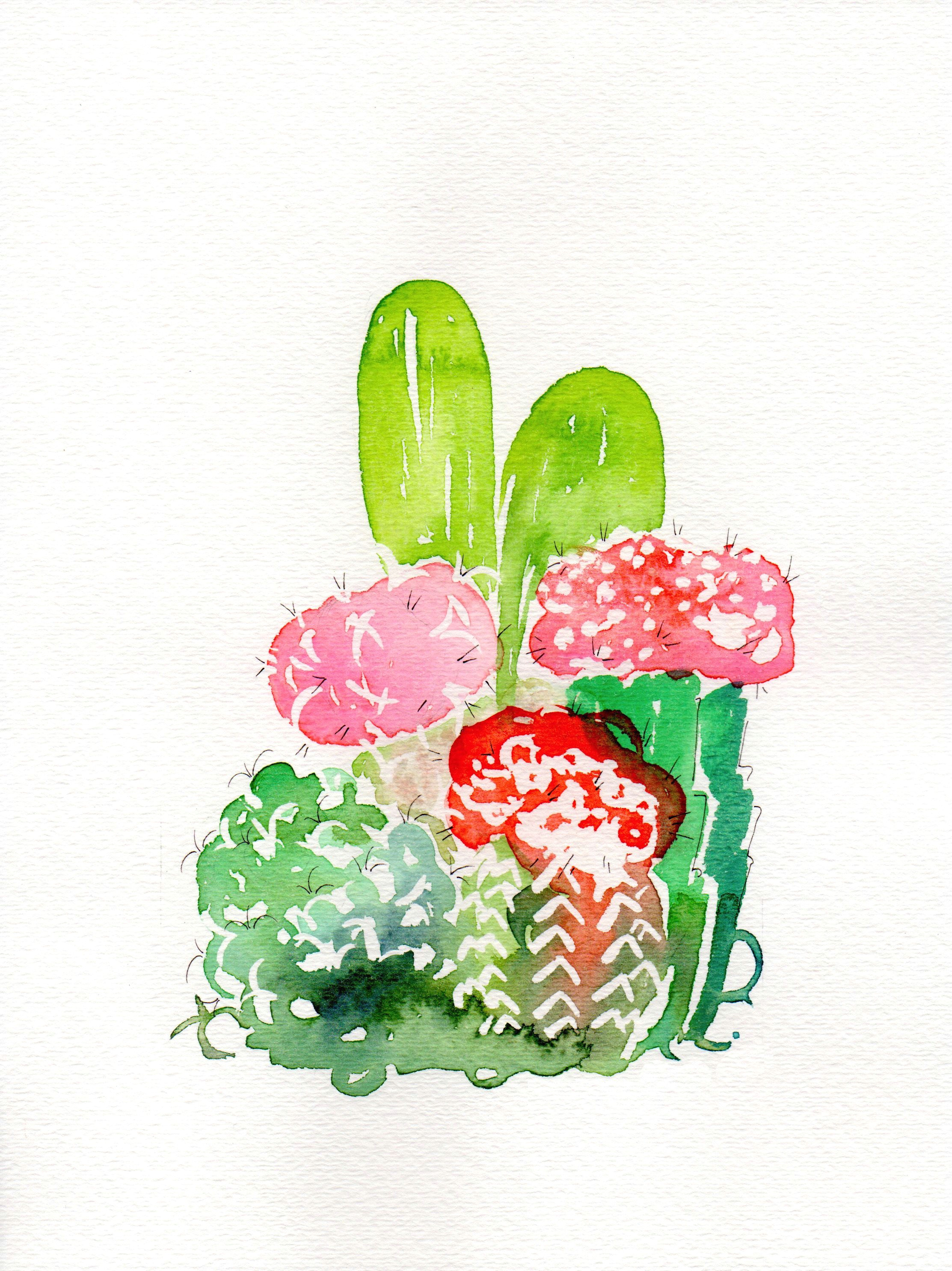 Drawings Of Cactus Flowers Watercolor Print Succulents Cactus Watercolor Print