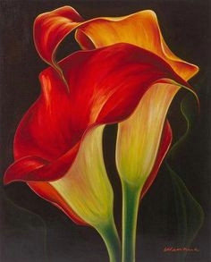 Drawings Of Calla Lily Flowers 1459 Best Oil Painting Images Beautiful Flowers Calla Lilies