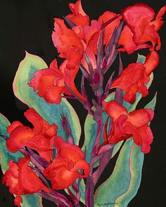 Drawings Of Canna Flowers 111 Best Canna Art Images Flower Art Art Pictures Floral Paintings