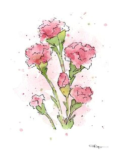 Drawings Of Carnation Flowers 59 Best Pink Carnation Art Decor Images Pink Carnations Gamma