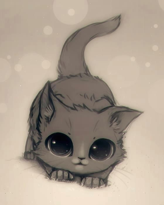 Drawings Of Cat Eyes A Illustrated Kitten with Huge Eyes Art that Makes Me Smile