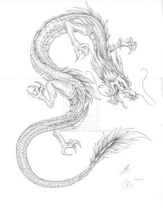 Drawings Of Chinese Dragons 997 Best asian Dragons Images In 2019 Japanese Tattoos Japanese