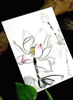 Drawings Of Chinese Flowers 68 Best Chinese Brush Painting Images Chinese Painting Japanese