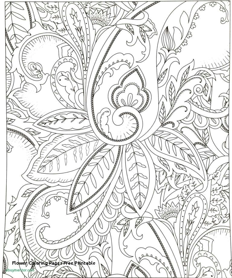 Drawings Of Christmas Flowers Christmas Coloring Pages Lovely Christmas Coloring Pages Free N Fun