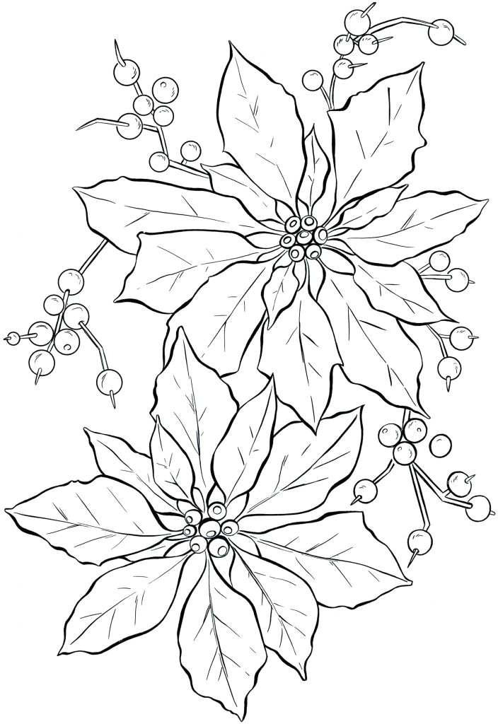 Drawings Of Christmas Flowers Poinsettia Line Art Christmas Card Ideas Christmas Coloring