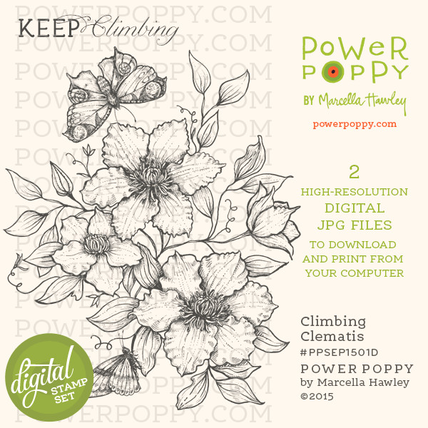 Drawings Of Clematis Flowers Power Poppy the Blog Keep Climbing with Our New Clematis Digi