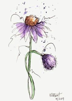 Drawings Of Cone Flowers 654 Best Flower Drawings Images In 2019 Drawings Flower Designs