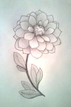 Drawings Of Cute Flowers Simple Flower Sketch Google Search Drawings Pinterest