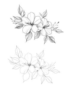 Drawings Of Delicate Flowers 215 Best Flower Sketch Images Images Flower Designs Drawing S
