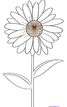 Drawings Of Different Flowers 100 Best How to Draw Tutorials Flowers Images Drawing Techniques