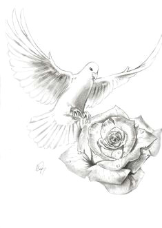 Drawings Of Doves and Roses 104 Best Dove Drawing Images Peace Dove Prophetic Art Tattoo Ideas