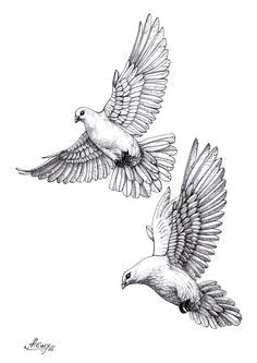 Drawings Of Doves and Roses 122 Best Dove Images Pigeon Tattoo Tattoo Designs Arm Tattoo
