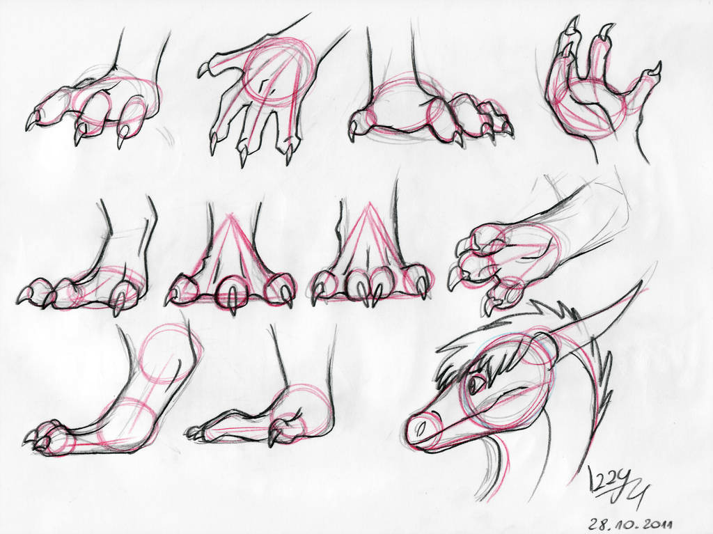 Drawings Of Dragons Feet Dragon Hands and Feet Tutorial by Natsuakai On Deviantart