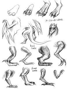 Drawings Of Dragons Feet How to Draw Dragon Legs Arms and Talons Step 7 Dragons Pinterest