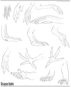 Drawings Of Dragons Feet How to Draw Dragon Legs Arms and Talons Step 7 Dragons Pinterest