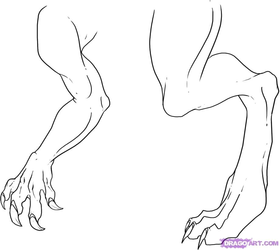 Drawings Of Dragons Feet How to Draw Dragon Legs Arms and Talons Step 7 Dragons Pinterest