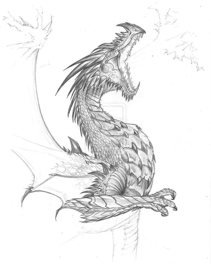 Drawings Of Dragons Fighting Pin by Tambre Kay On Expression Dragon Dragon Sketch Realistic