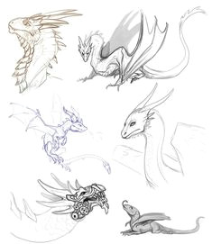 Drawings Of Dragons Flying 47 Best Drawing Dragons Images