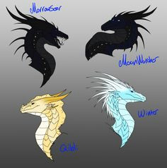 Drawings Of Dragons From Wings Of Fire 404 Best Wings Of Fire Images In 2019 Wings Of Fire Dragons