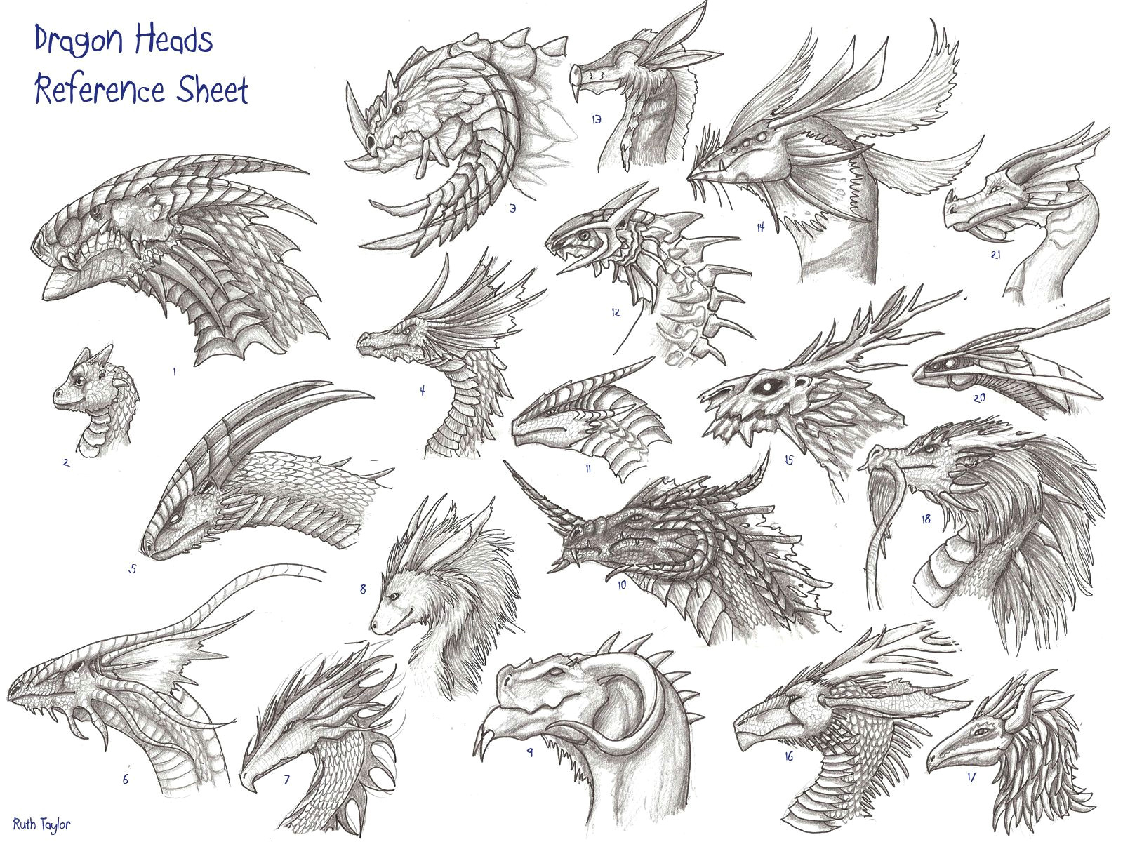 Drawings Of Dragons Heads Head Reference Image Dragon Heads Reference Sheet by Archir On