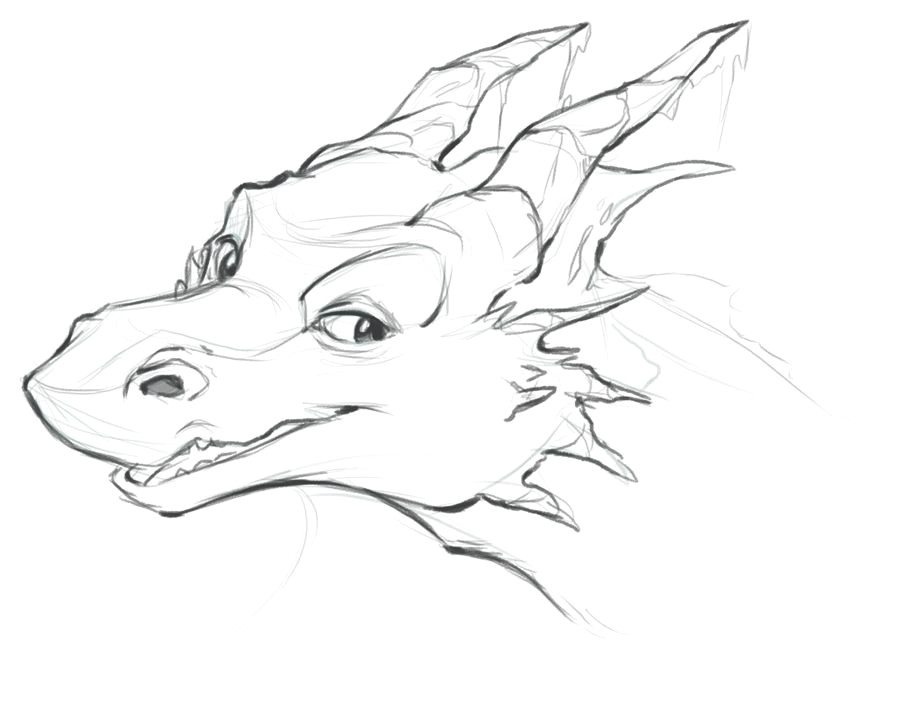 Drawings Of Dragons Heads Nice Dragon Head Drawings Google Search to Draw