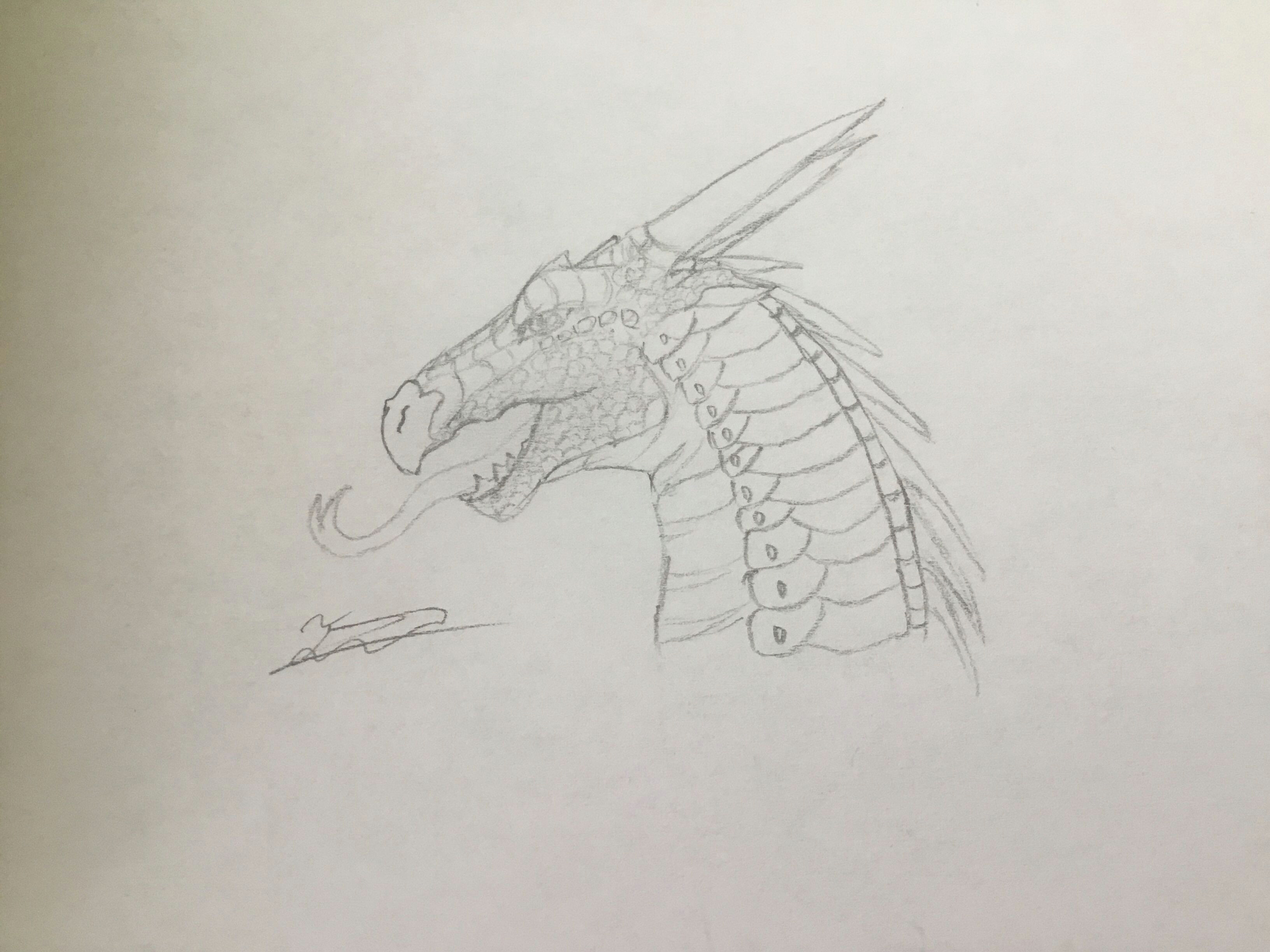 Drawings Of Dragons Heads Nightwing S Head My Drawings In 2018 Pinterest Wings Of Fire