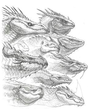 Drawings Of Dragons Heads Pin by Damon Jeter On Pencil Drawings Dragon Dragon Sketch