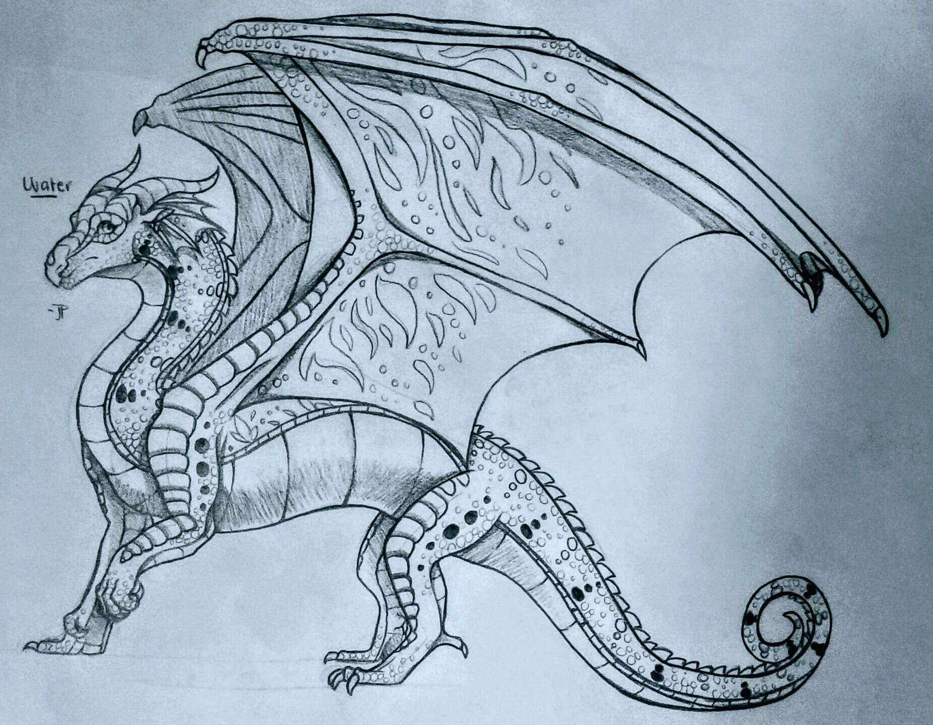 Drawings Of Dragons In Pencil Rainwing Wings Of Fire In 2018 Pinterest Wings Of Fire Wings