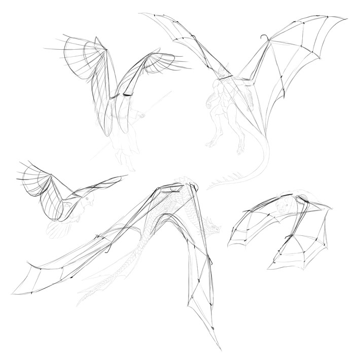 Drawings Of Dragons Laying Down How to Draw and Animate Wings Birds Bats and More Autodesk