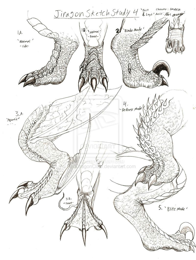 Drawings Of Dragons Laying Down How to Draw Dragon Claws Jiragon Arm and Claw Sketches Pick Up A