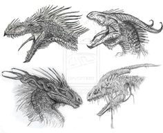 Drawings Of Dragons Realistic 360 Best How to Draw Dragons Images In 2019 Ideas for Drawing