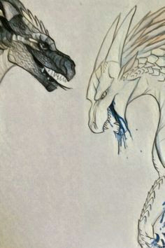 Drawings Of Dragons Wings 77 Best Wings Of Fire Icewings Images Fire Fans Dragons Wings Of