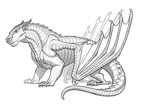 Drawings Of Dragons Wings Pin by Angel Alexander On Sea Sand In 2019 Wings Of Fire Wings