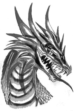 Drawings Of Dragons with Skulls 9 Best Dragon Drawlings Images Dragon Drawings Dragons Drawings