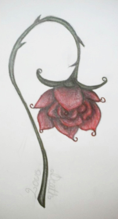 Drawings Of Dying Roses 11 Best A Wilted Rose Images Wilted Rose Roses Bleeding Rose