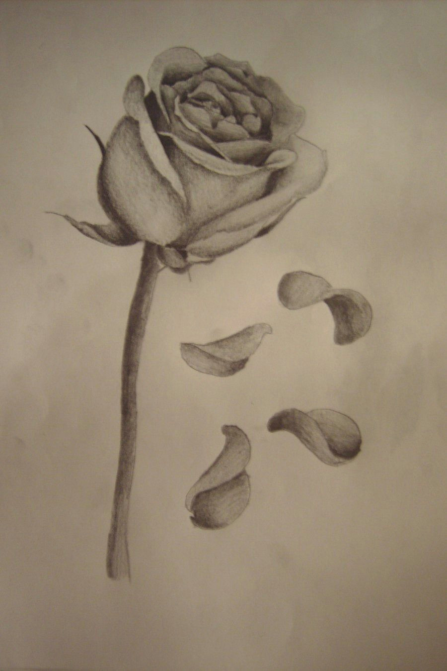 Drawings Of Dying Roses Rose with Falling Petals Tattoos Tattoos Rose Tattoos Tattoo