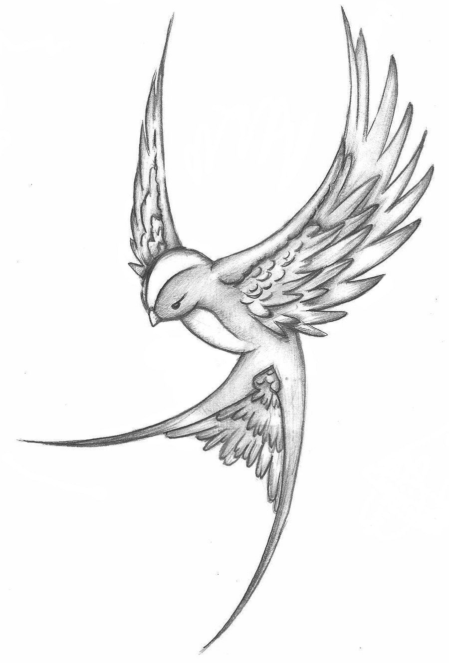 Drawings Of European Dragons Killer Celtic Dragon Tattoo 11795 Inspirational Tattoos Celtic