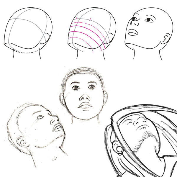 Drawings Of Eyes Looking Down Human Anatomy Fundamentals Basics Of the Face